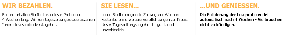 Hockenheimer Tageszeitung Probeabo